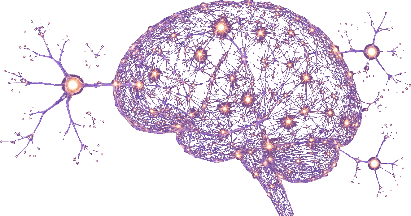 Synapses Network